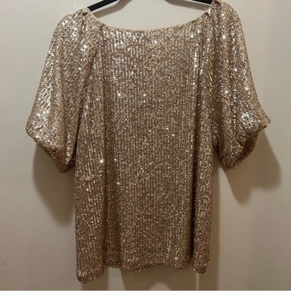 Ann Taylor gold sequin raglan‎ sleeve top  short sleeves large NWT XL holiday - Picture 3 of 14